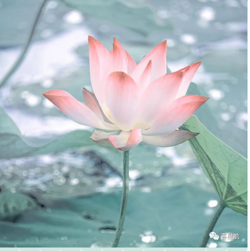 定了！今年居民醫(yī)保繳費標準每人每年350元！